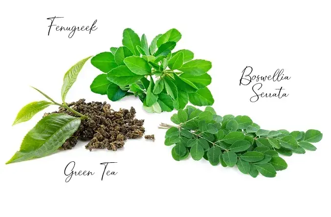 Cholesterol lower supplements Cholesterol lower supplements