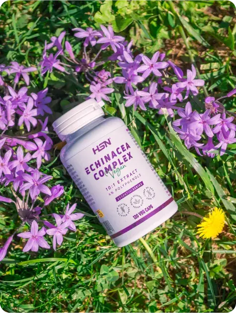 Echinacea supplements