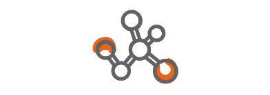 homocysteine metabolism