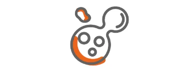 involved in the process of cell division