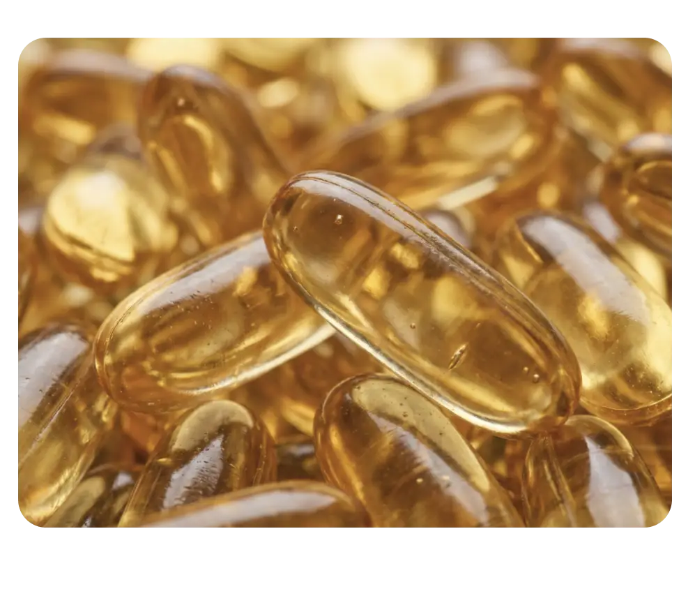Omega-3: Herz-Kreislauf- und kognitive Gesundheit Omega-3: Herz-Kreislauf- und kognitive Gesundheit