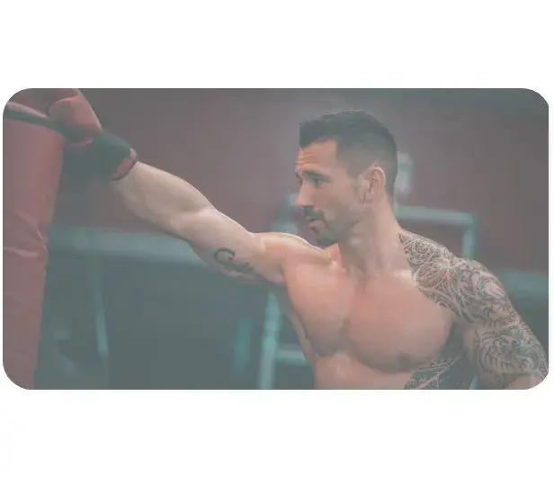 post workout supplement post workout supplement