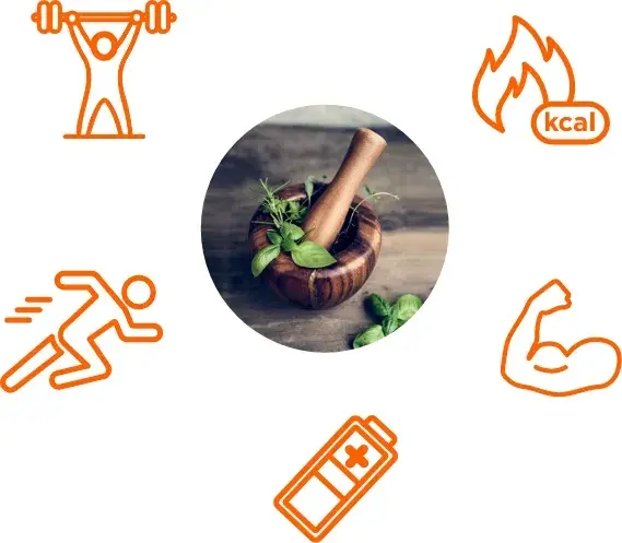 Role of naturals anabolics