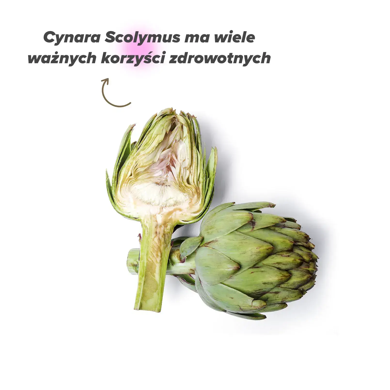 Znaczenie karczocha dla zdrowia
