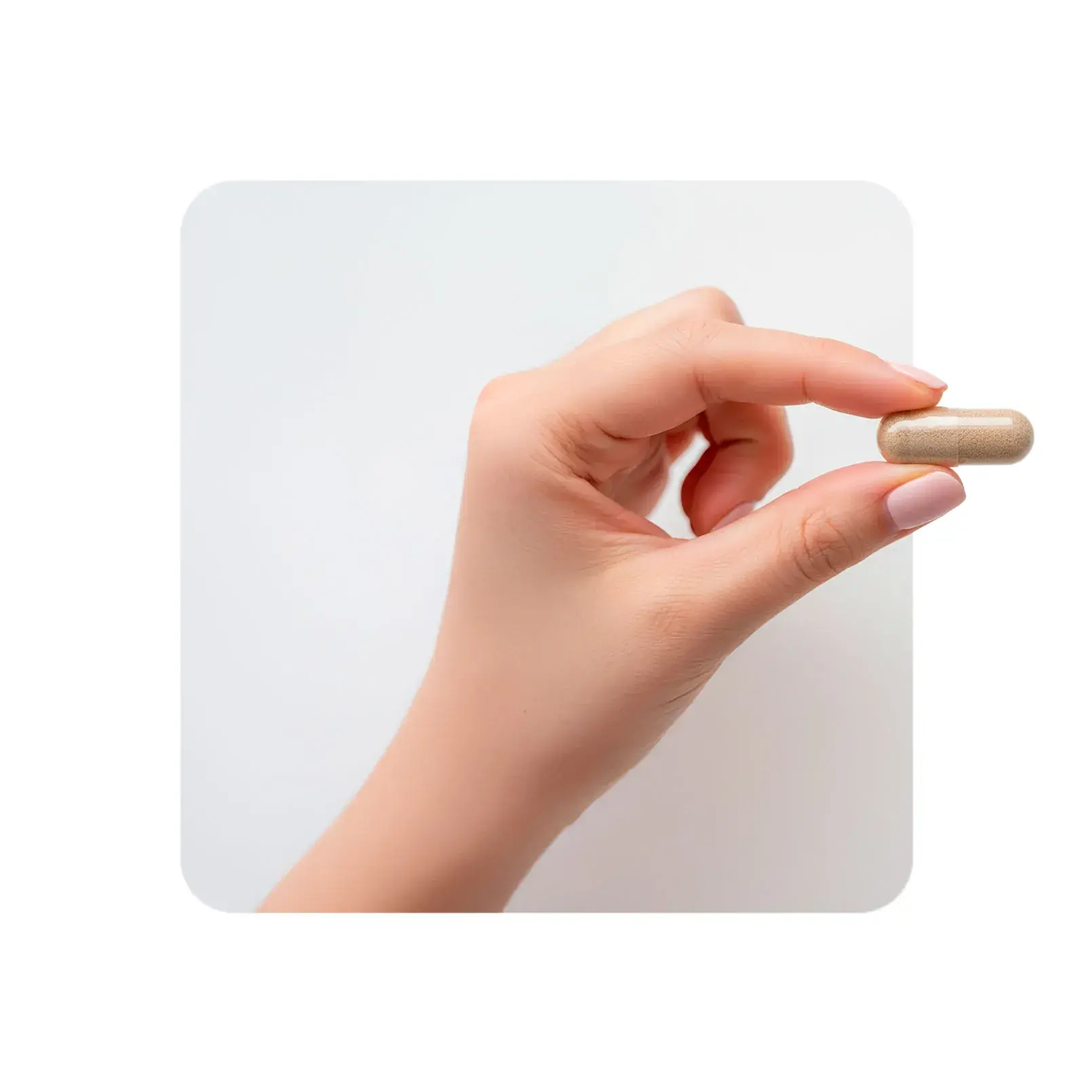 Capsules vitex Capsules vitex