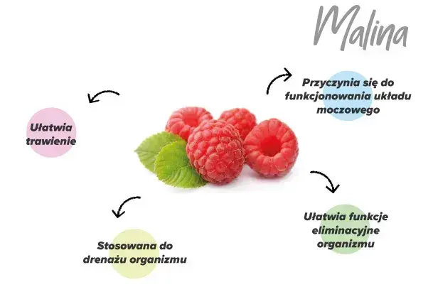 Ketony malinowe z P-synefryną Ketony malinowe z P-synefryną