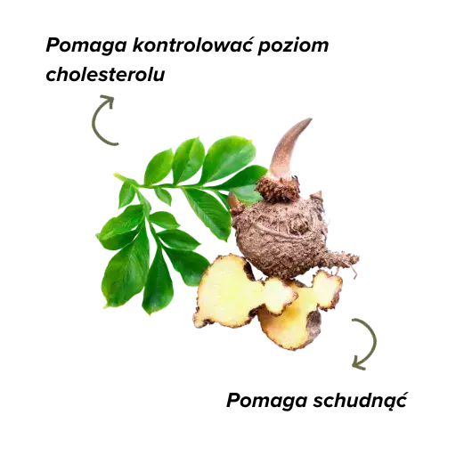 gucomanane gucomanane