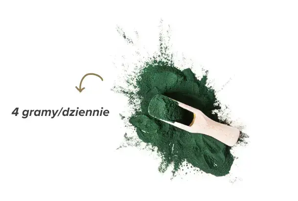 Spirulina 